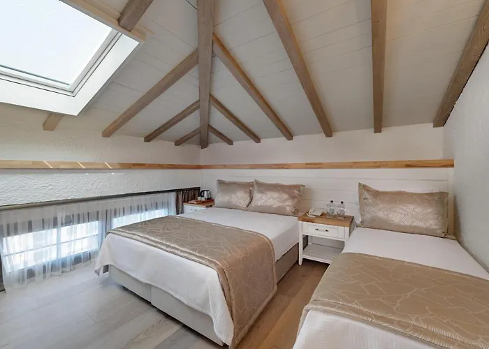 Atrium Taş Hotel 2*